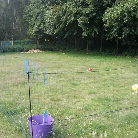 Waldstil In Mit Grosser Terrasse Дом отдыха